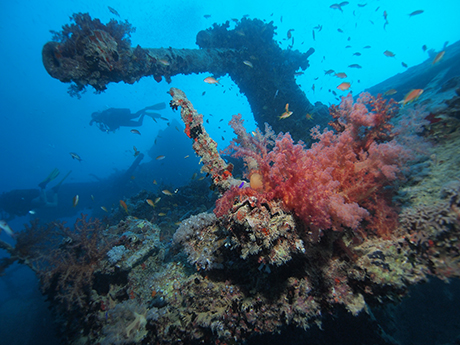 SSI WRECK DIVING